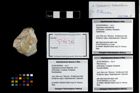 Foto (Objekt + Etikett) von Pithonoton sp.  (NHMW-GEO-2014-0194-0934b)